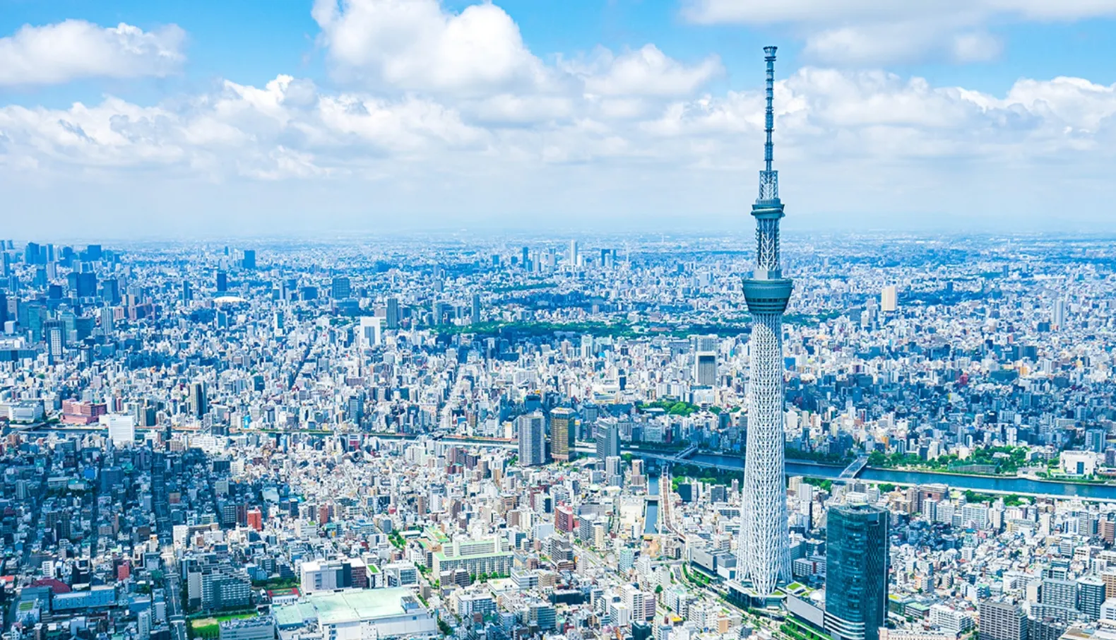 先進的な都市
