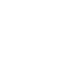 人