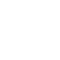 社