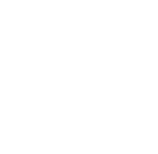 見