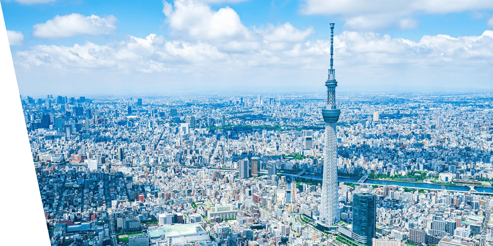 都会を上空から見た画像